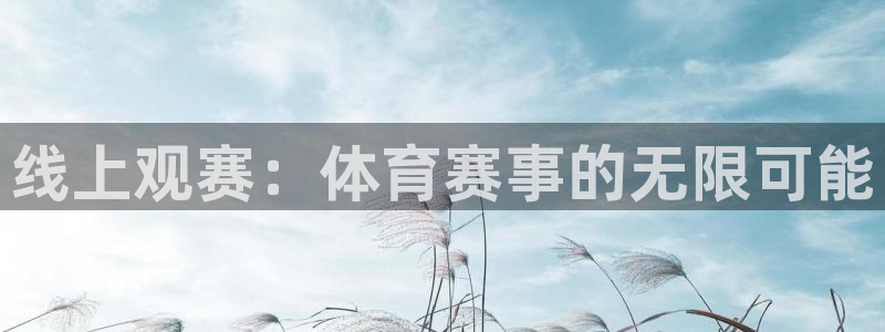 线上观赛：体育赛事的无限可能