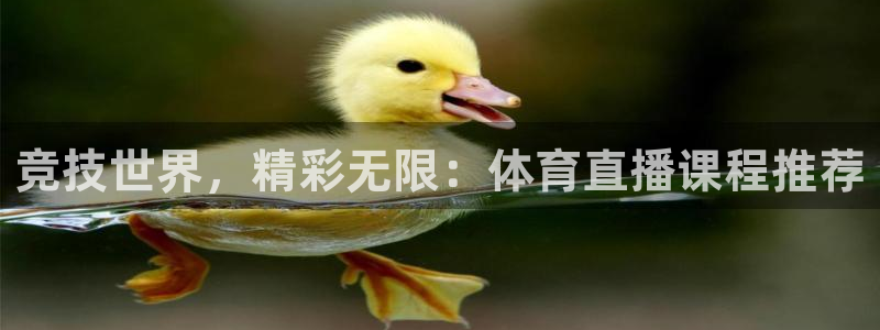 竞技世界，精彩无限：体育直播课程推荐
