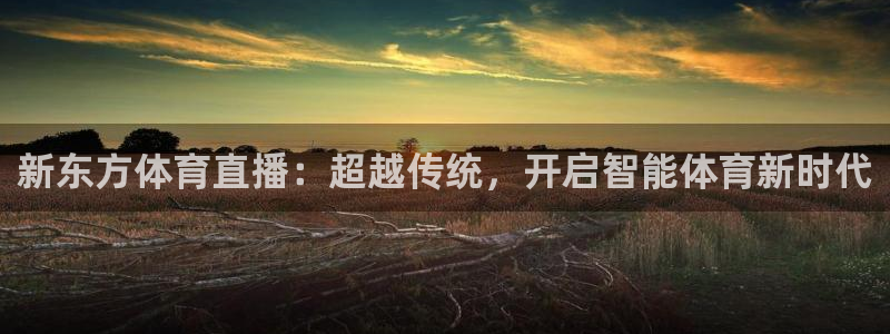 新东方体育直播：超越传统，开启智能体育新时代