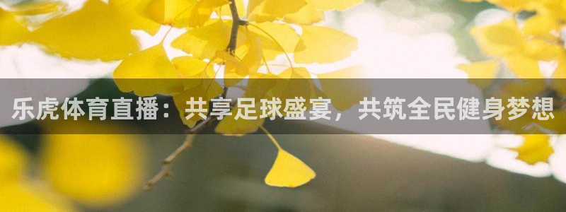 乐虎体育直播：共享足球盛宴，共筑全民健身梦想