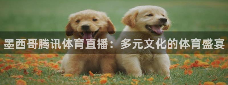 墨西哥腾讯体育直播：多元文化的体育盛宴