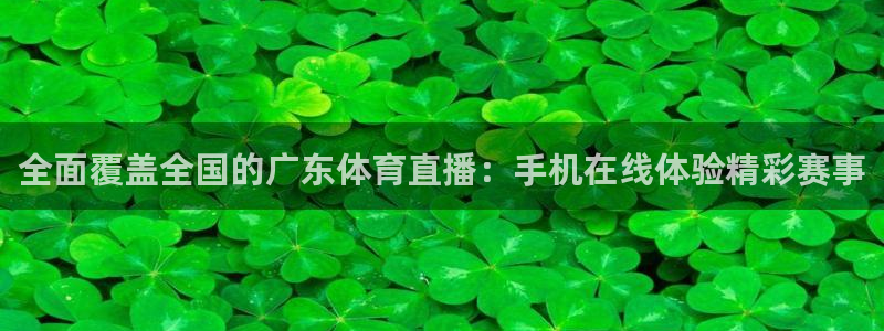 全面覆盖全国的广东体育直播：手机在线体验精彩赛事