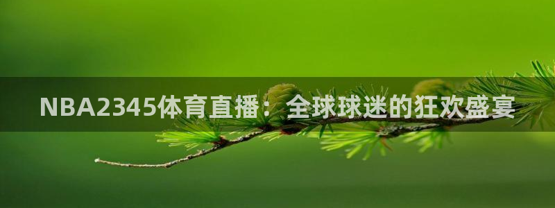 NBA2345体育直播：全球球迷的狂欢盛宴