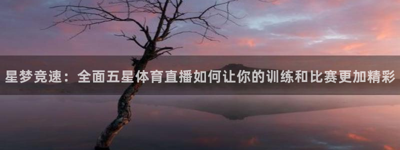 星梦竞速：全面五星体育直播如何让你的训练和比赛更加精彩