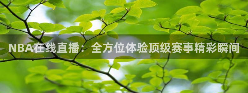 NBA在线直播：全方位体验顶级赛事精彩瞬间