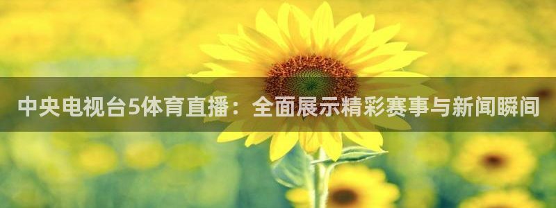 中央电视台5体育直播：全面展示精彩赛事与新闻瞬间