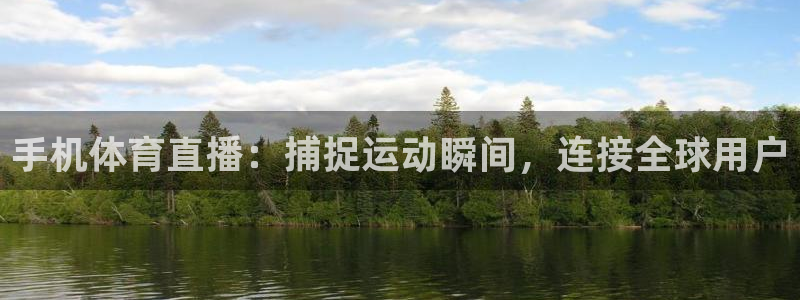 手机体育直播：捕捉运动瞬间，连接全球用户