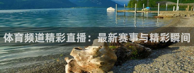 体育频道精彩直播：最新赛事与精彩瞬间