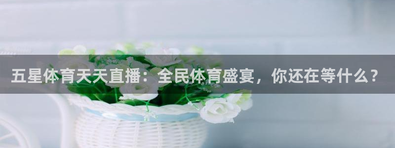 五星体育天天直播：全民体育盛宴，你还在等什么？