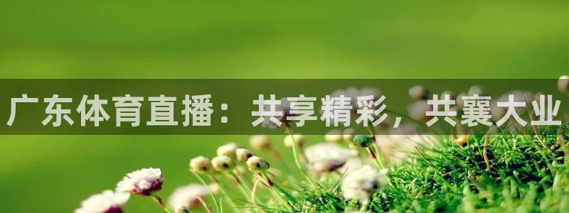 广东体育直播：共享精彩，共襄大业