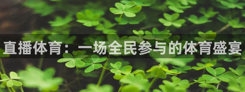 直播体育：一场全民参与的体育盛宴