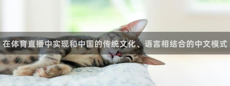 在体育直播中实现和中国的传统文化、语言相结合的中文模式