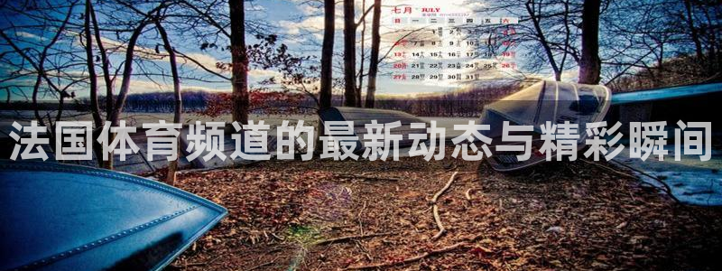 法国体育频道的最新动态与精彩瞬间