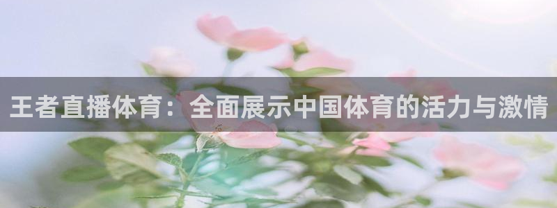 王者直播体育：全面展示中国体育的活力与激情