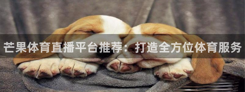 芒果体育直播平台推荐：打造全方位体育服务