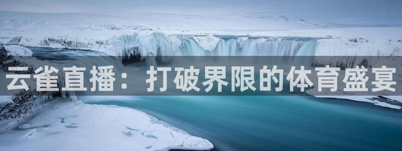 云雀直播：打破界限的体育盛宴