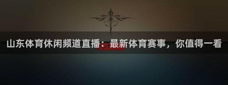 山东体育休闲频道直播：最新体育赛事，你值得一看