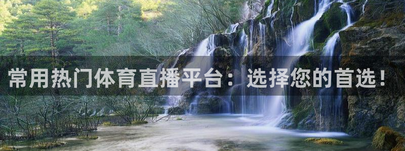 常用热门体育直播平台：选择您的首选！