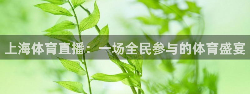 上海体育直播：一场全民参与的体育盛宴