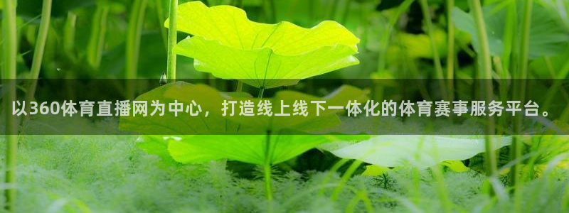 以360体育直播网为中心，打造线上线下一体化的体育赛事服务平台。