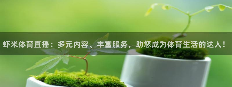 虾米体育直播：多元内容、丰富服务，助您成为体育生活的达人！