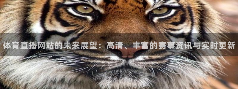 体育直播网站的未来展望：高清、丰富的赛事资讯与实时更新