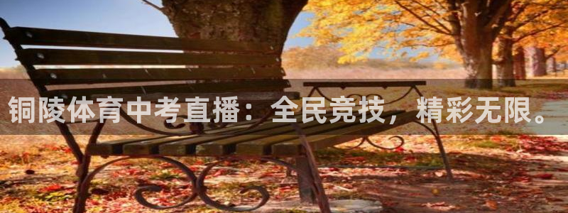 铜陵体育中考直播：全民竞技，精彩无限。