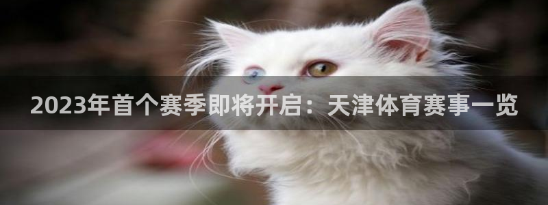 2023年首个赛季即将开启：天津体育赛事一览
