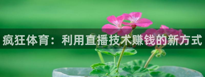疯狂体育：利用直播技术赚钱的新方式