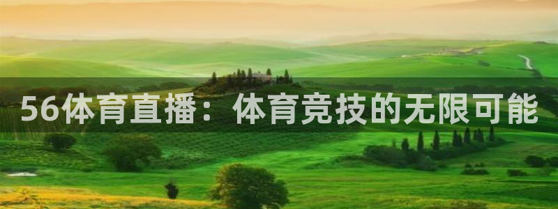 56体育直播：体育竞技的无限可能