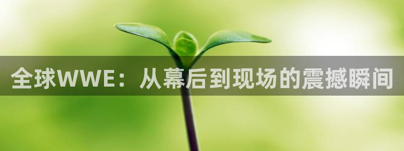 全球WWE：从幕后到现场的震撼瞬间
