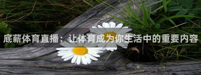 底薪体育直播：让体育成为你生活中的重要内容