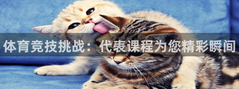 体育竞技挑战：代表课程为您精彩瞬间