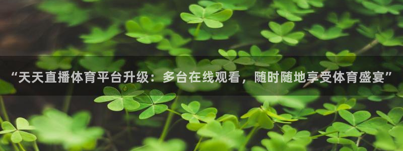 “天天直播体育平台升级：多台在线观看，随时随地享受体育盛宴”